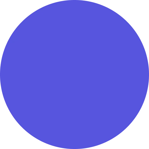 Ellipse80.webp